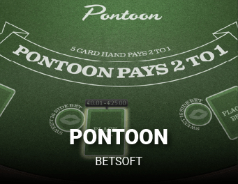 Pontoon