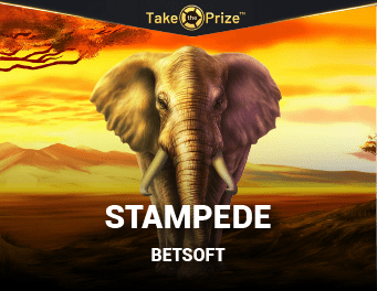 Stampede