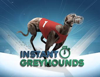 instant Greyhounds
