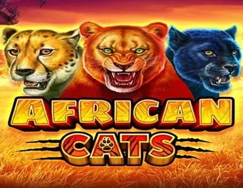 African Cats