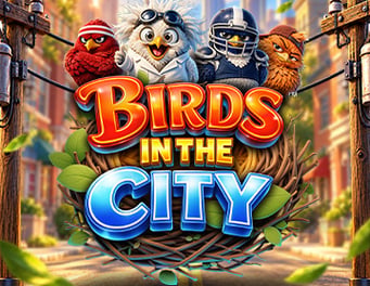 Birds in The City