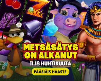 Lähdetään metsälle!