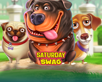 It's a Dog's World