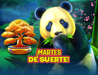 ¡El Efecto Oso Cerdo!