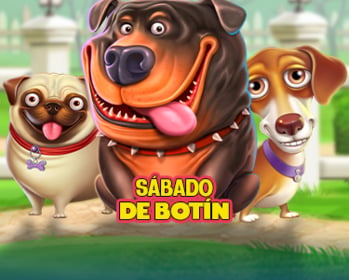 Es un mundo de perros